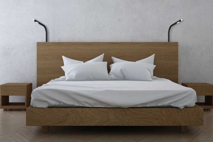 Bedlamp Sphinx