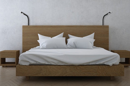 Bedlamp Sphinx